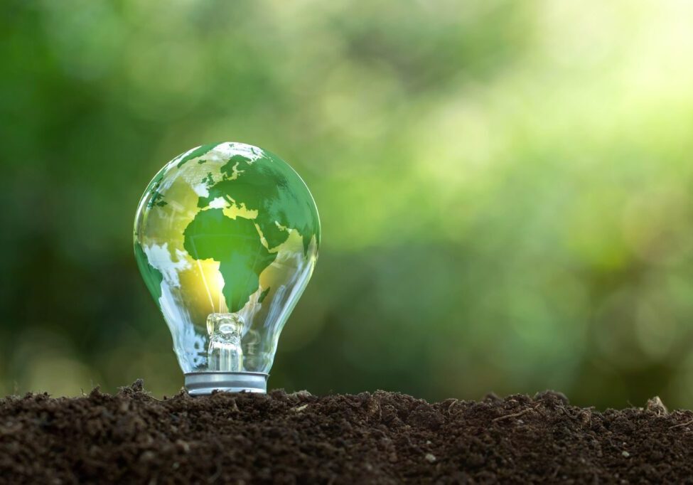 A light bulb with a world map design sits on soil with a blurred green background.